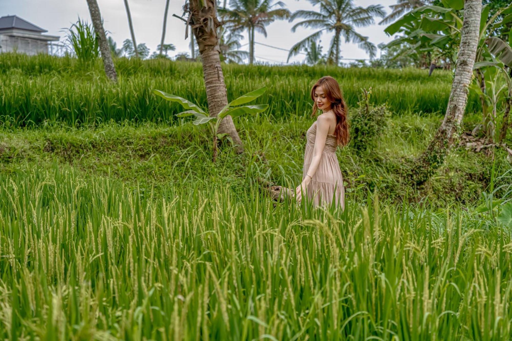Bamboo Cabin Sanctuary By Nusantara Hospitality Ubud Kültér fotó
