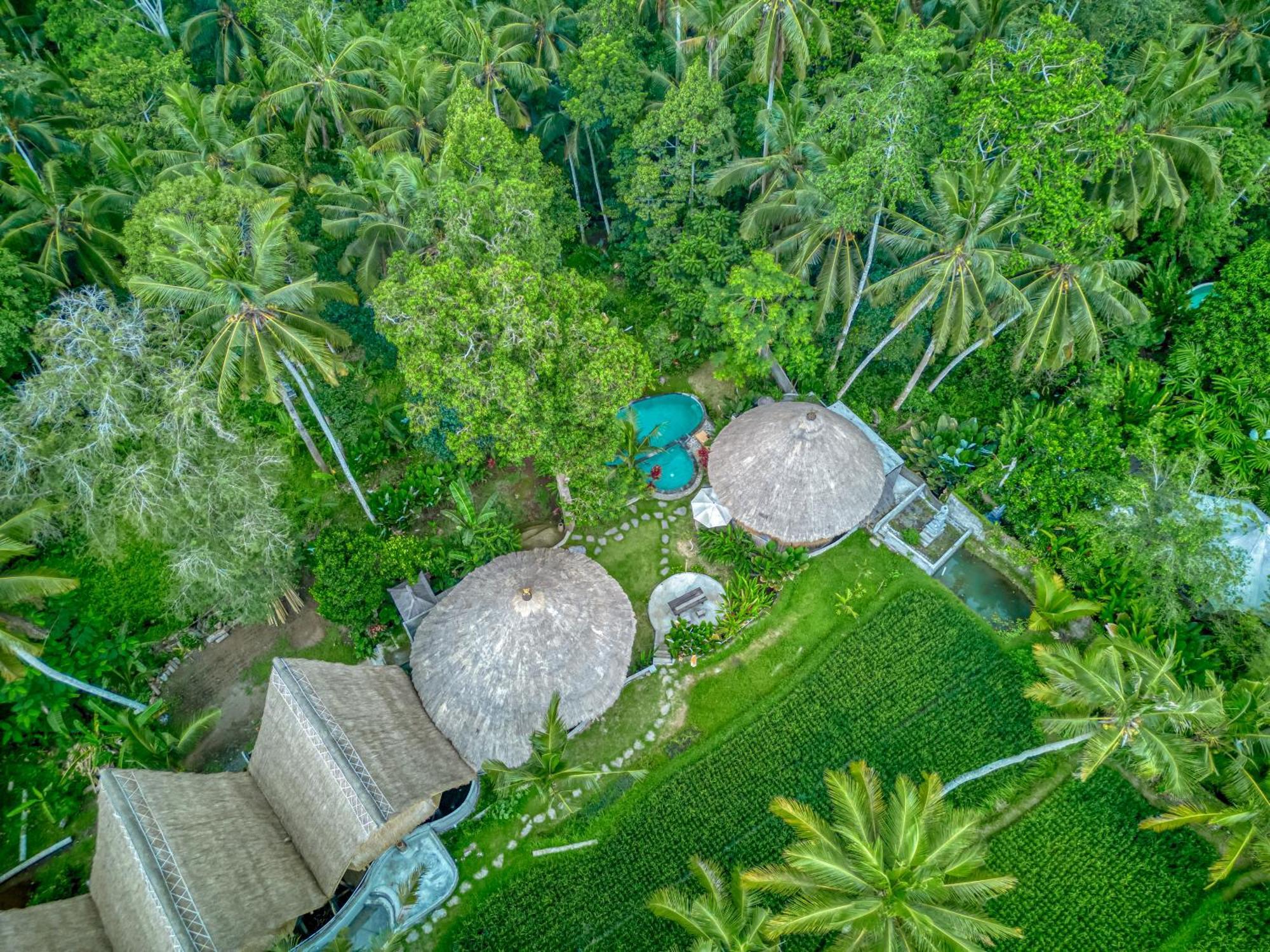 Bamboo Cabin Sanctuary By Nusantara Hospitality Ubud Kültér fotó